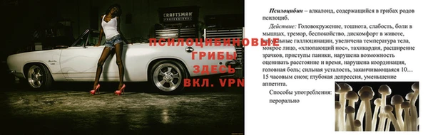 мдпв Наволоки