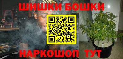 крисы Аргун