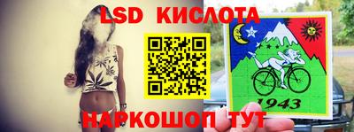 крисы Аргун