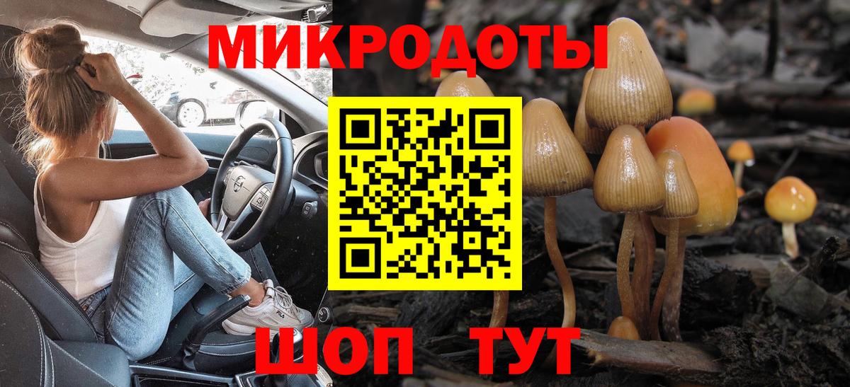 Галлюциногенные грибы MAGIC MUSHROOMS  Галлюциногенные грибы мухоморы  Курчалой 