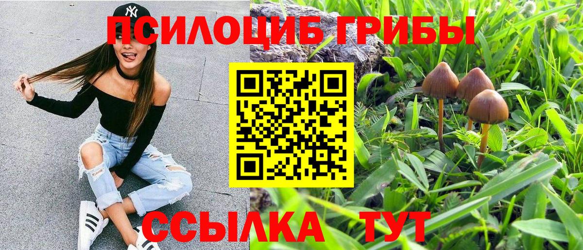Галлюциногенные грибы мицелий  Вход с VPN  Курчалой 