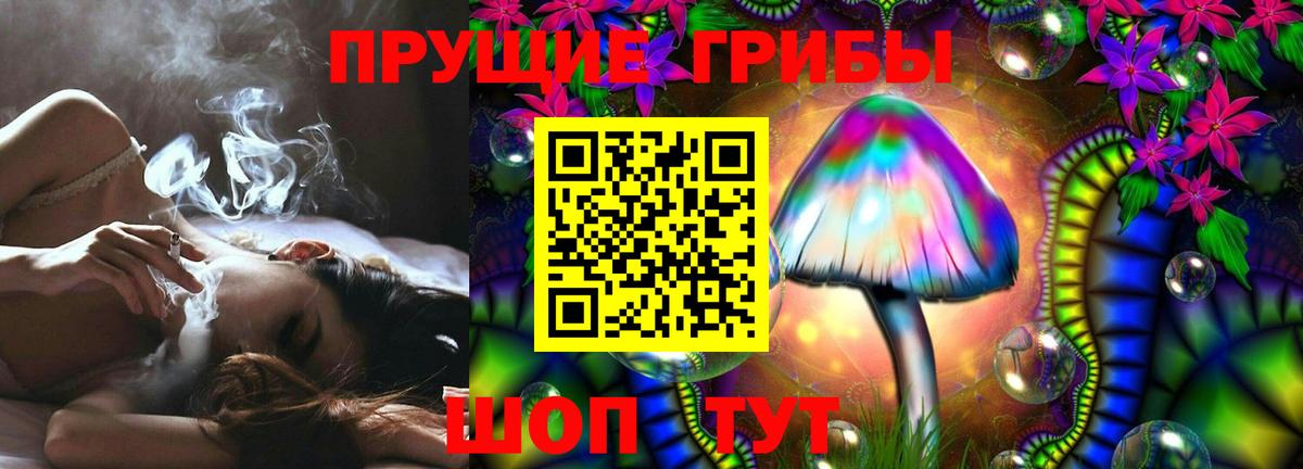 Галлюциногенные грибы Psilocybe Курчалой