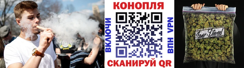 Конопля индика Курчалой