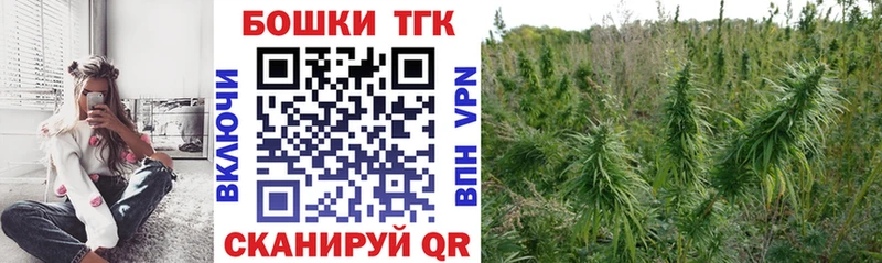 Бошки марихуана Ganja  купить наркотик  Курчалой 